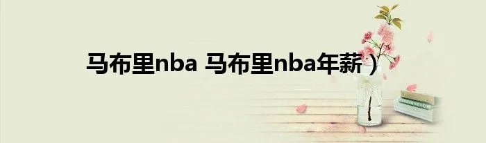 马布里nba 马布里nba年薪）