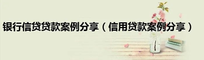 银行信贷贷款案例分享（信用贷款案例分享）