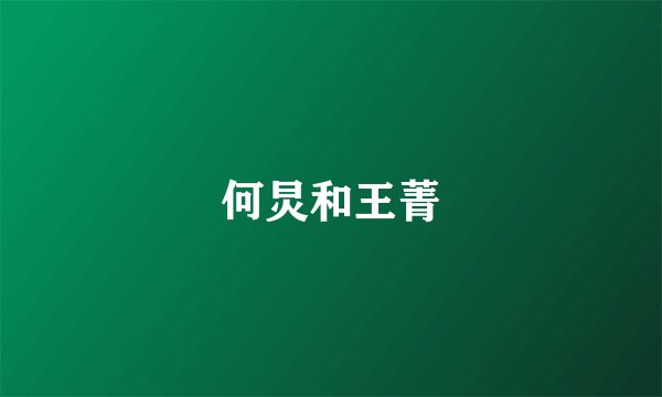何炅和王菁