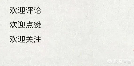 郑爽新剧《青春斗》已经定档,这部新剧都有哪些看点呢?