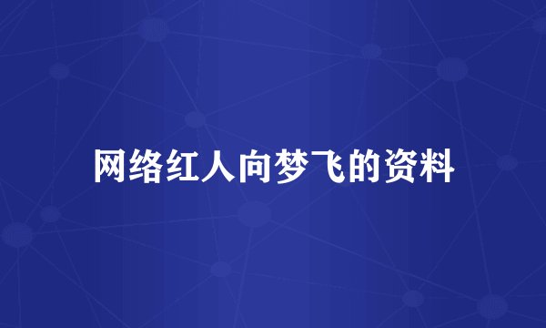 网络红人向梦飞的资料