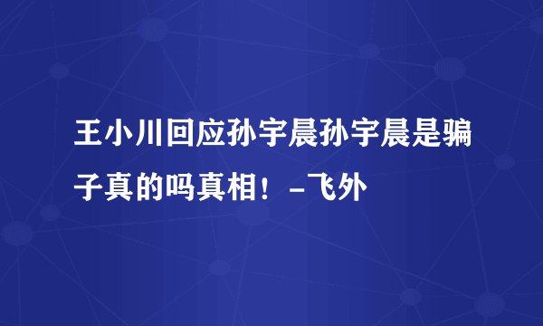 王小川回应孙宇晨孙宇晨是骗子真的吗真相！-飞外