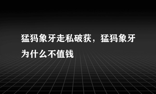 猛犸象牙走私破获，猛犸象牙为什么不值钱