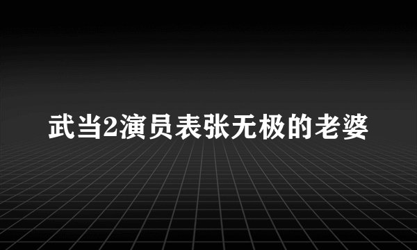 武当2演员表张无极的老婆