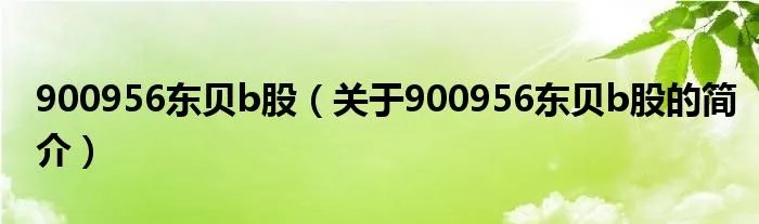 900956东贝b股（关于900956东贝b股的简介）