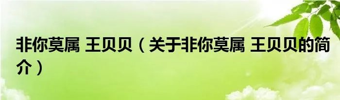 非你莫属 王贝贝（关于非你莫属 王贝贝的简介）
