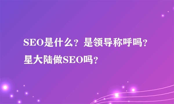 SEO是什么？是领导称呼吗？星大陆做SEO吗？