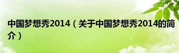 中国梦想秀2014（关于中国梦想秀2014的简介）