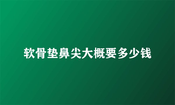 软骨垫鼻尖大概要多少钱
