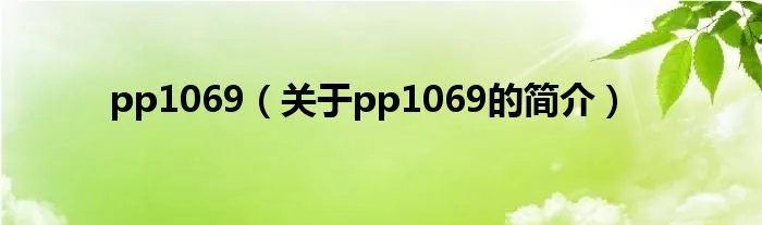 pp1069(关于pp1069的简介)