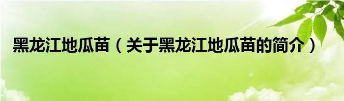 黑龙江地瓜苗（关于黑龙江地瓜苗的简介）