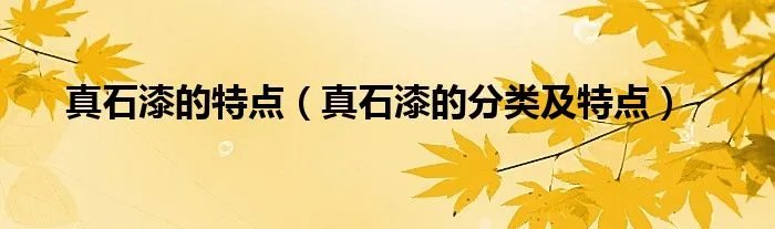 真石漆的特点（真石漆的分类及特点）