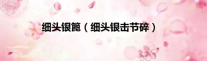 细头银篦（细头银击节碎）