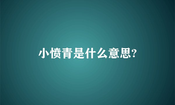 小愤青是什么意思?
