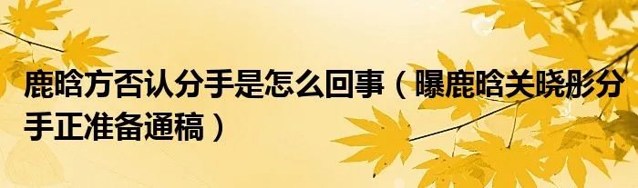 鹿晗方否认分手是怎么回事（曝鹿晗关晓彤分手正准备通稿）