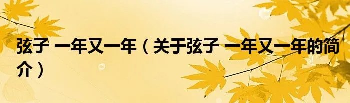 弦子 一年又一年（关于弦子 一年又一年的简介）