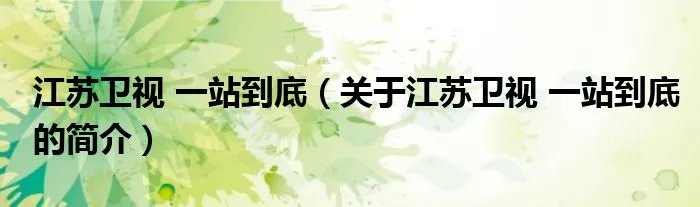 江苏卫视 一站到底（关于江苏卫视 一站到底的简介）