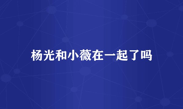 杨光和小薇在一起了吗