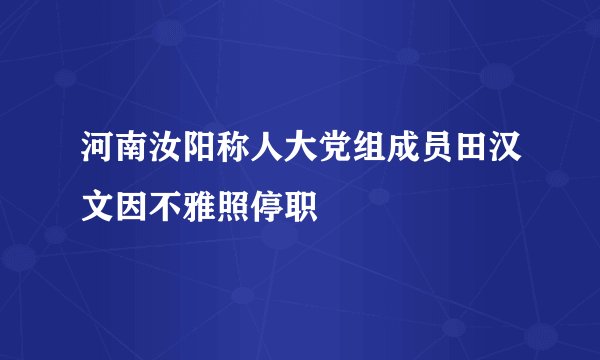 河南汝阳称人大党组成员田汉文因不雅照停职