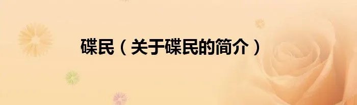 碟民（关于碟民的简介）