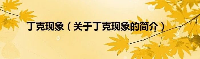 丁克现象（关于丁克现象的简介）