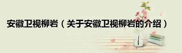 安徽卫视柳岩（关于安徽卫视柳岩的介绍）