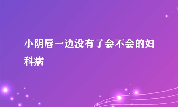 小阴唇一边没有了会不会的妇科病