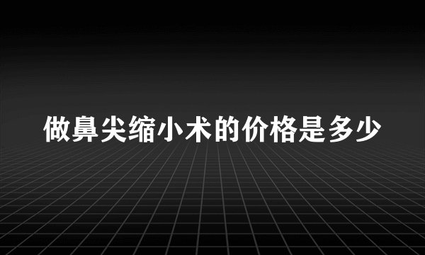做鼻尖缩小术的价格是多少