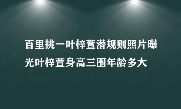 百里挑一叶梓萱潜规则照片曝光叶梓萱身高三围年龄多大
