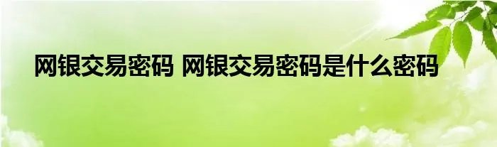 网银交易密码 网银交易密码是什么密码