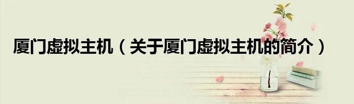 厦门虚拟主机（关于厦门虚拟主机的简介）