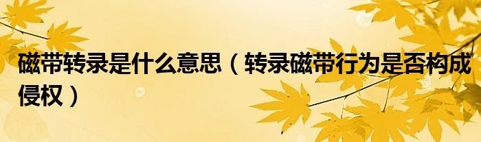 磁带转录是什么意思（转录磁带行为是否构成侵权）