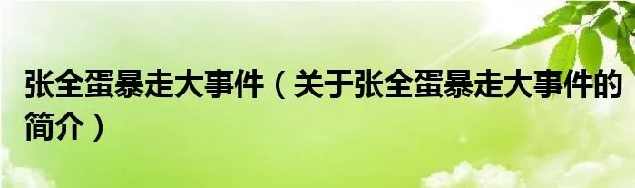 张全蛋暴走大事件(关于张全蛋暴走大事件的简介)