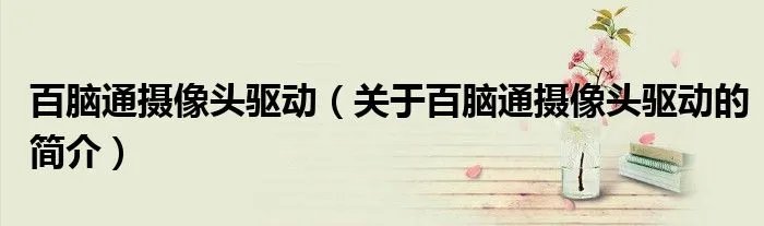 百脑通摄像头驱动（关于百脑通摄像头驱动的简介）