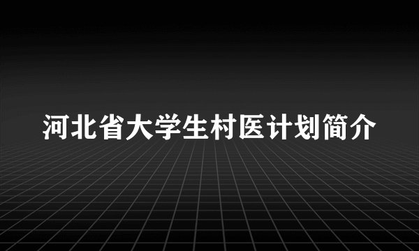 河北省大学生村医计划简介