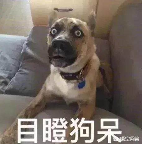 哪里的美术画室比较好?