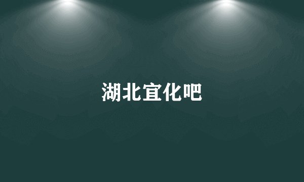 湖北宜化吧