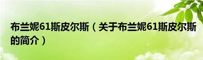 布兰妮61斯皮尔斯（关于布兰妮61斯皮尔斯的简介）