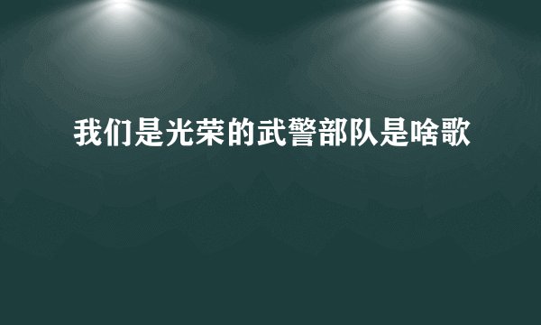 我们是光荣的武警部队是啥歌