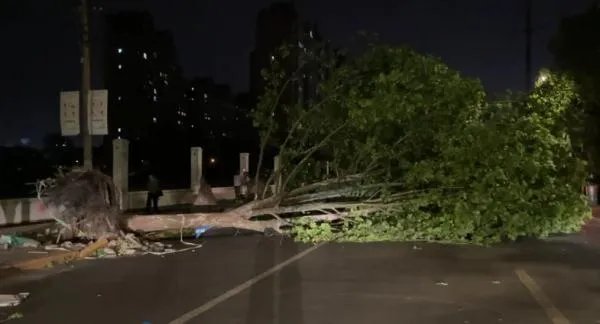 江苏南通大风致11死102伤,目前情况怎么样?