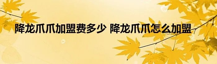 降龙爪爪加盟费多少 降龙爪爪怎么加盟