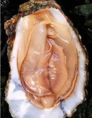 13个图片看你污不污：第一样看就能迷惑到你