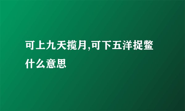 可上九天揽月,可下五洋捉鳖什么意思