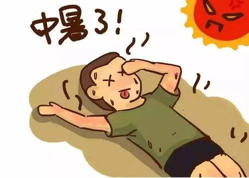 东京8月187人死于中暑,死者的年纪大概在哪个范围内?