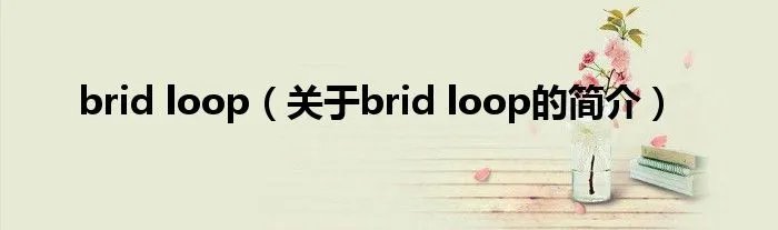 brid loop（关于brid loop的简介）
