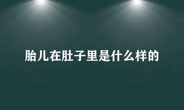 胎儿在肚子里是什么样的