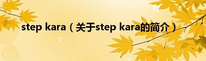 step kara（关于step kara的简介）