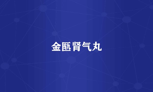 金匦肾气丸