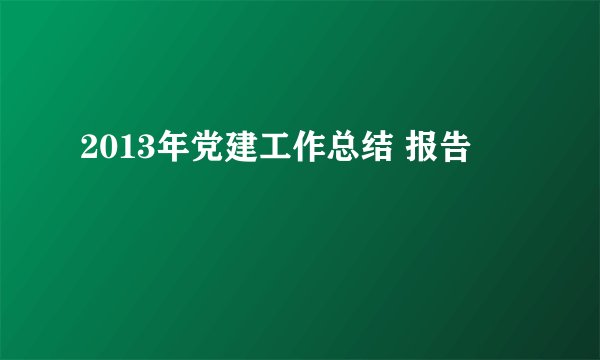 2013年党建工作总结 报告
