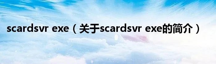 scardsvr exe（关于scardsvr exe的简介）